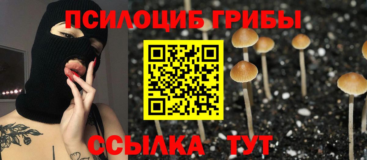 Галлюциногенные грибы мухоморы Кирово-Чепецк